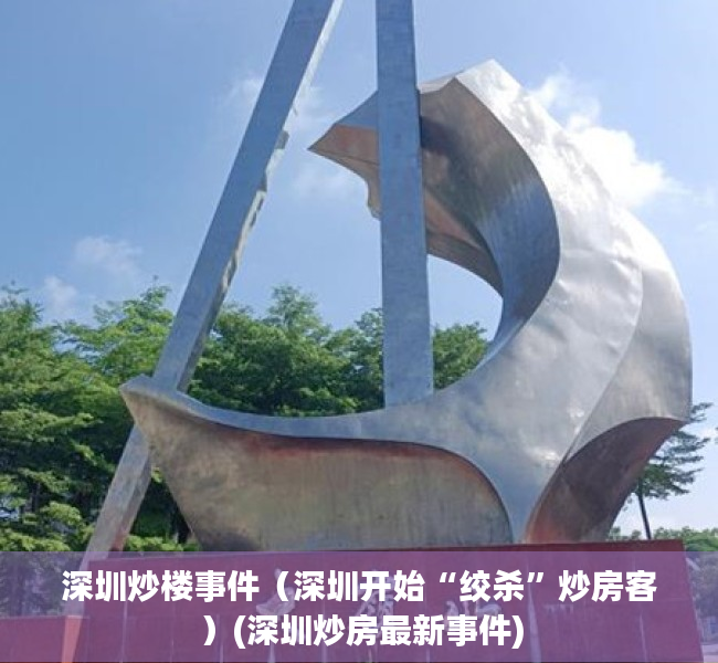 深圳炒楼事件（深圳开始“绞杀”炒房客）(深圳炒房最新事件)