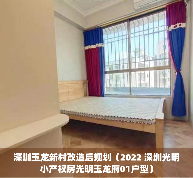 深圳玉龙新村改造后规划（2022 深圳光明小产权房光明玉龙府01户型）