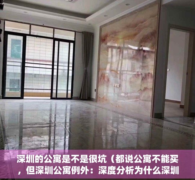 深圳的公寓是不是很坑（都说公寓不能买，但深圳公寓例外：深度分析为什么深圳公寓可以买）