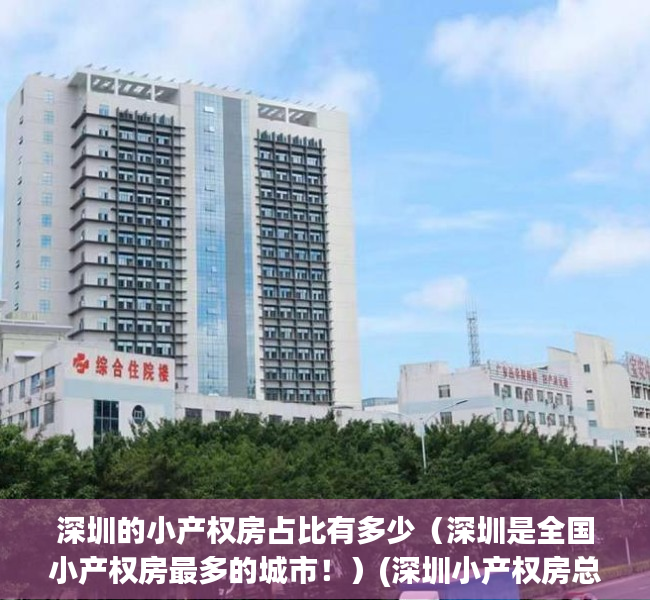 深圳的小产权房占比有多少（深圳是全国小产权房最多的城市！）(深圳小产权房总面积)