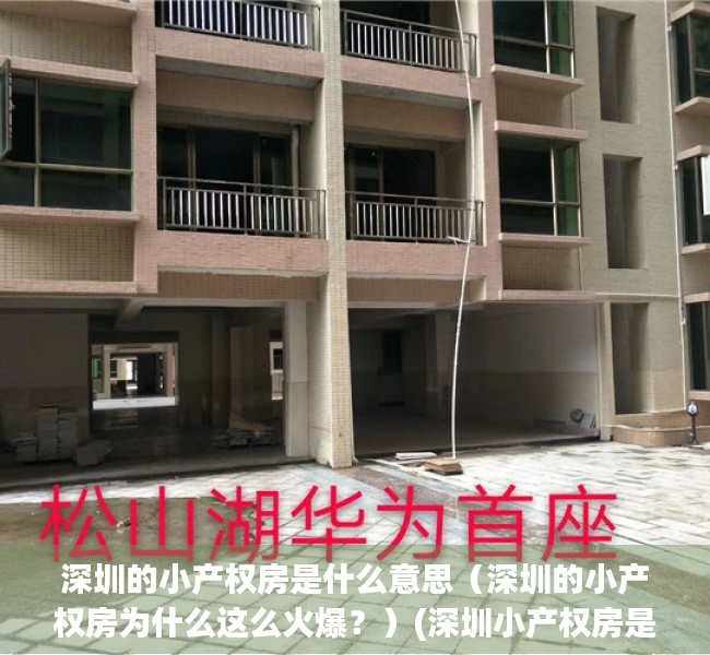 深圳的小产权房是什么意思（深圳的小产权房为什么这么火爆？）(深圳小产权房是啥)