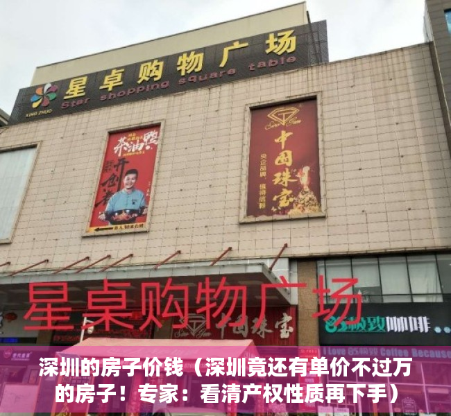 深圳的房子价钱（深圳竟还有单价不过万的房子！专家：看清产权性质再下手）