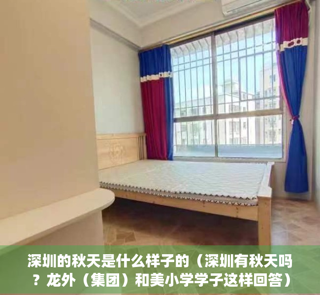 深圳的秋天是什么样子的（深圳有秋天吗？龙外（集团）和美小学学子这样回答）