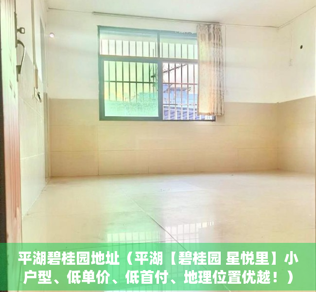 平湖碧桂园地址（平湖【碧桂园 星悦里】小户型、低单价、低首付、地理位置优越！）