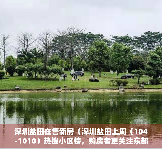 深圳盐田在售新房（深圳盐田上周（104-1010）热搜小区榜，购房者更关注东部华侨城天麓别墅）