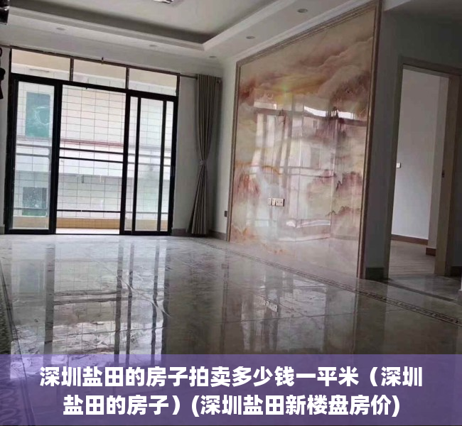 深圳盐田的房子拍卖多少钱一平米（深圳盐田的房子）(深圳盐田新楼盘房价)