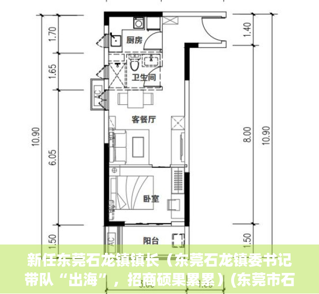 新任东莞石龙镇镇长（东莞石龙镇委书记带队“出海”，招商硕果累累）(东莞市石龙镇副镇长)