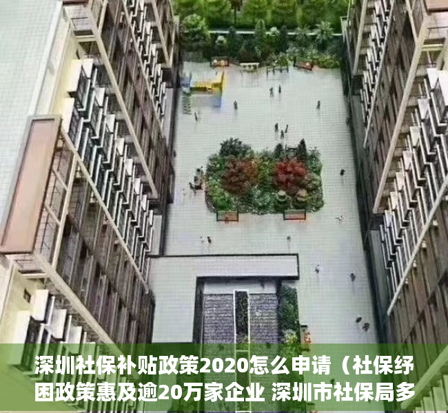 深圳社保补贴政策2020怎么申请（社保纾困政策惠及逾20万家企业 深圳市社保局多措并举助力中小微企业高质量发展）