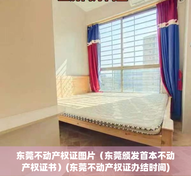 东莞不动产权证图片（东莞颁发首本不动产权证书）(东莞不动产权证办结时间)