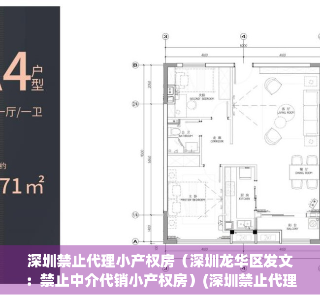 深圳禁止代理小产权房（深圳龙华区发文：禁止中介代销小产权房）(深圳禁止代理销售小产权房)