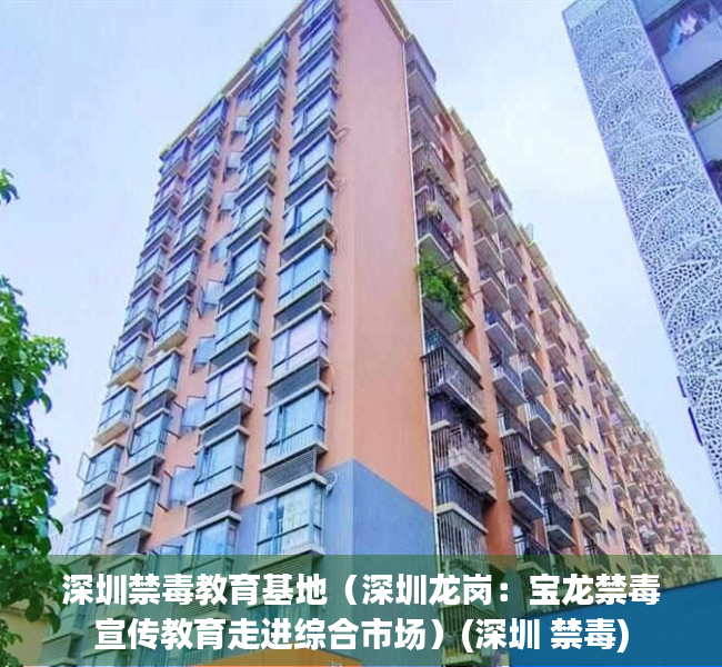深圳禁毒教育基地（深圳龙岗：宝龙禁毒宣传教育走进综合市场）(深圳 禁毒)