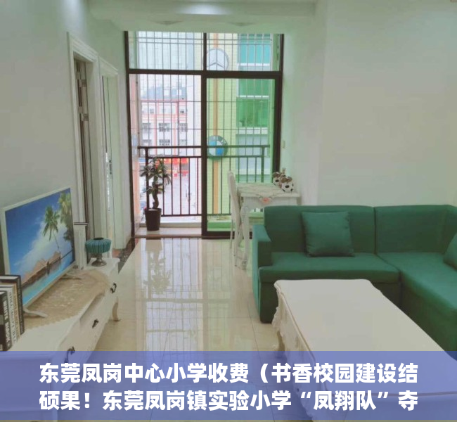 东莞凤岗中心小学收费（书香校园建设结硕果！东莞凤岗镇实验小学“凤翔队”夺得团体冠军）