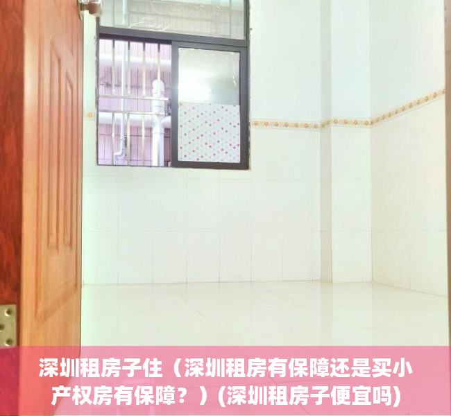 深圳租房子住（深圳租房有保障还是买小产权房有保障？）(深圳租房子便宜吗)