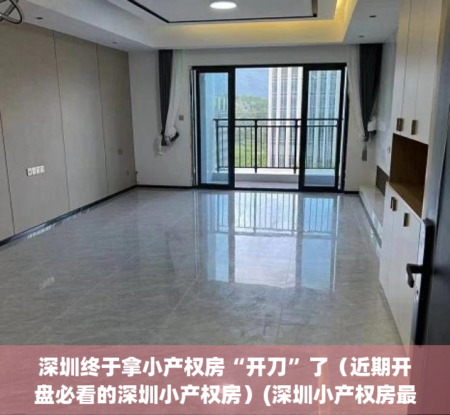 深圳终于拿小产权房“开刀”了（近期开盘必看的深圳小产权房）(深圳小产权房最新开盘)