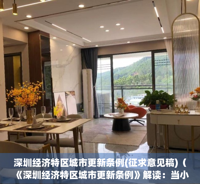 深圳经济特区城市更新条例(征求意见稿)（《深圳经济特区城市更新条例》解读：当小产权遇上拆迁）