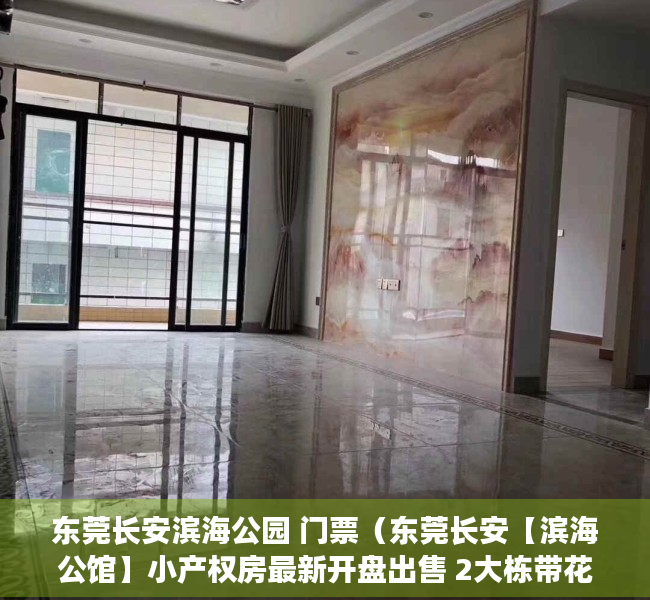 东莞长安滨海公园 门票（东莞长安【滨海公馆】小产权房最新开盘出售 2大栋带花园和停车场）