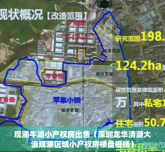 观澜牛湖小产权房出售（深圳龙华清湖大浪观澜区域小产权房楼盘概括）