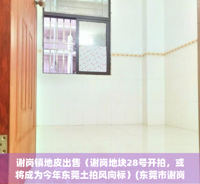 谢岗镇地皮出售（谢岗地块28号开拍，或将成为今年东莞土拍风向标）(东莞市谢岗规划控规图)