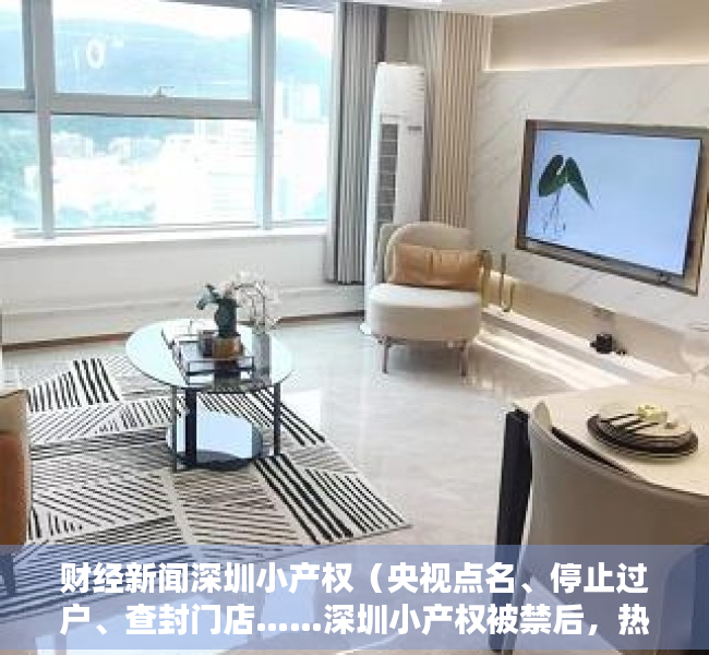 财经新闻深圳小产权（央视点名、停止过户、查封门店……深圳小产权被禁后，热钱流向何方？）