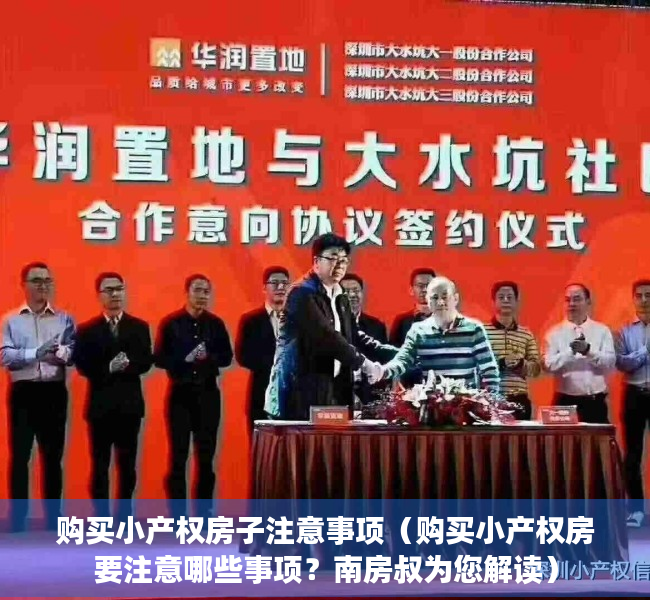 购买小产权房子注意事项（购买小产权房要注意哪些事项？南房叔为您解读）