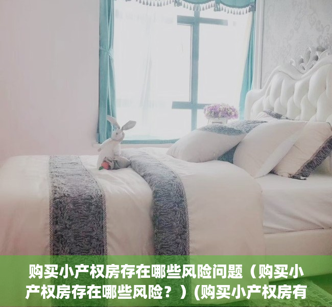 购买小产权房存在哪些风险问题（购买小产权房存在哪些风险？）(购买小产权房有哪些风险)