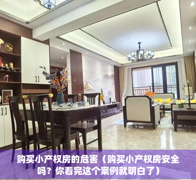购买小产权房的危害（购买小产权房安全吗？你看完这个案例就明白了）