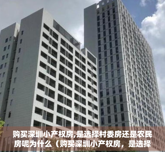 购买深圳小产权房,是选择村委房还是农民房呢为什么（购买深圳小产权房，是选择村委房还是农民房呢？）