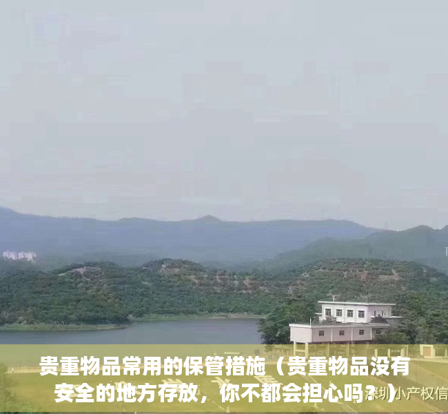 贵重物品常用的保管措施（贵重物品没有安全的地方存放，你不都会担心吗？）