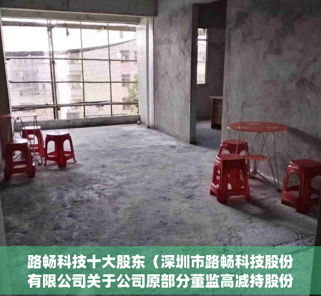 路畅科技十大股东（深圳市路畅科技股份有限公司关于公司原部分董监高减持股份的进展公告）