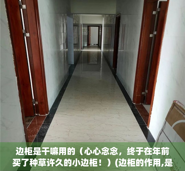 边柜是干嘛用的（心心念念，终于在年前买了种草许久的小边柜！）(边柜的作用,是放在哪里的)