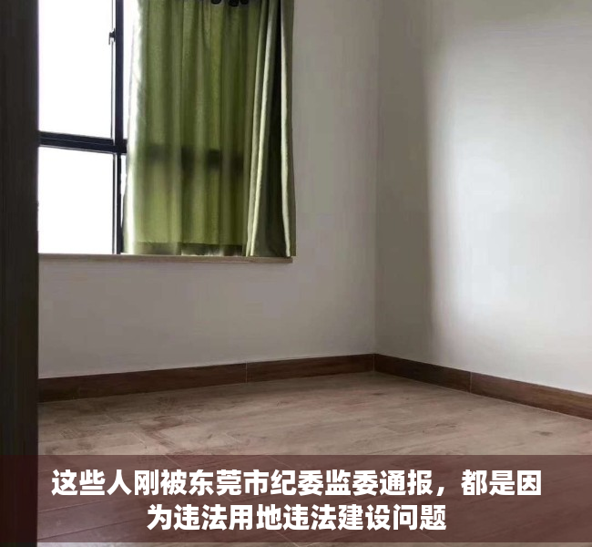 这些人刚被东莞市纪委监委通报，都是因为违法用地违法建设问题