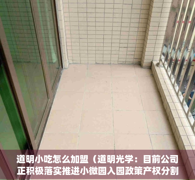 道明小吃怎么加盟（道明光学：目前公司正积极落实推进小微园入园政策产权分割政策按揭政策的变化或落实问题）