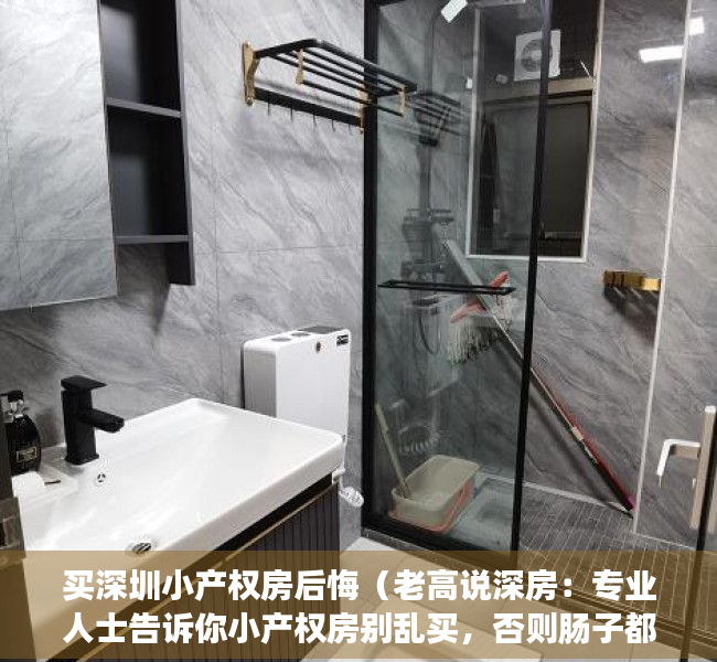 买深圳小产权房后悔（老高说深房：专业人士告诉你小产权房别乱买，否则肠子都悔青）
