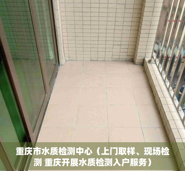 重庆市水质检测中心（上门取样、现场检测 重庆开展水质检测入户服务）