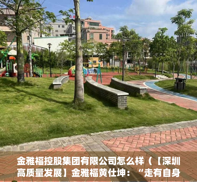 金雅福控股集团有限公司怎么样（【深圳高质量发展】金雅福黄仕坤：“走有自身特色的产业之路”）