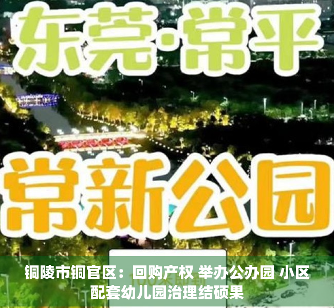 铜陵市铜官区：回购产权 举办公办园 小区配套幼儿园治理结硕果