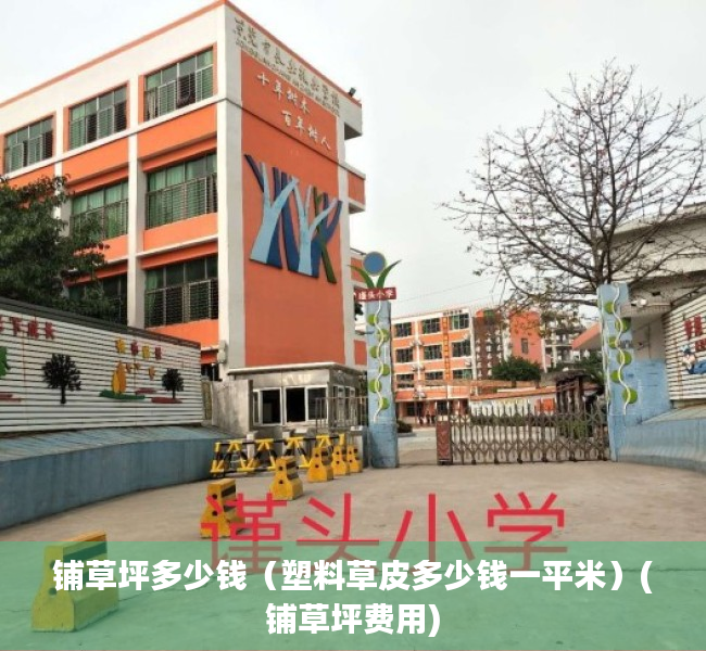 铺草坪多少钱（塑料草皮多少钱一平米）(铺草坪费用)