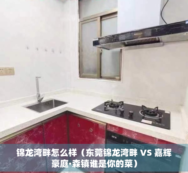 锦龙湾畔怎么样（东莞锦龙湾畔 VS 嘉辉豪庭·森镇谁是你的菜）
