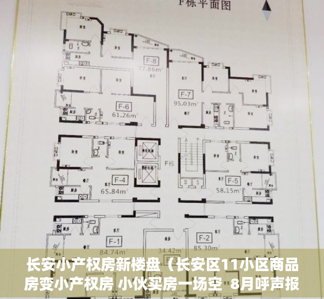 长安小产权房新楼盘（长安区11小区商品房变小产权房 小伙买房一场空  8月呼声报告）