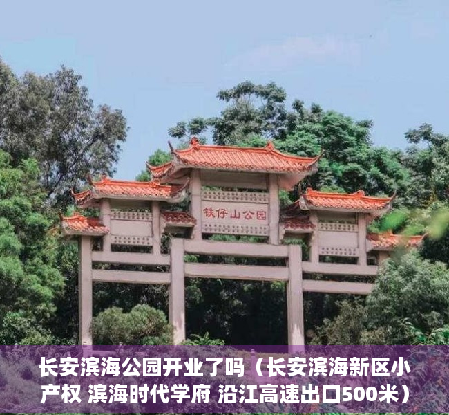 长安滨海公园开业了吗（长安滨海新区小产权 滨海时代学府 沿江高速出口500米）