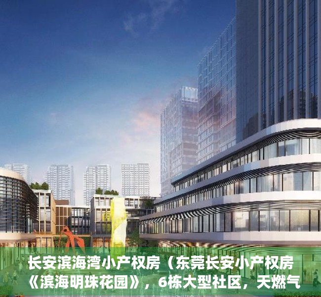 长安滨海湾小产权房（东莞长安小产权房《滨海明珠花园》，6栋大型社区，天燃气入户，无条件分期10年）