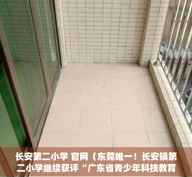 长安第二小学 官网（东莞唯一！长安镇第二小学继续获评“广东省青少年科技教育创新团队”）