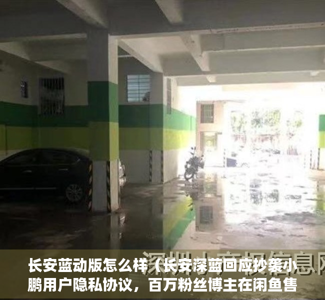 长安蓝动版怎么样（长安深蓝回应抄袭小鹏用户隐私协议，百万粉丝博主在闲鱼售卖文物）
