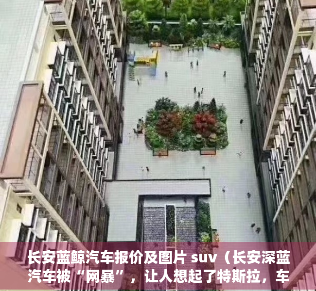 长安蓝鲸汽车报价及图片 suv（长安深蓝汽车被“网暴”，让人想起了特斯拉，车价、房价只能涨？）