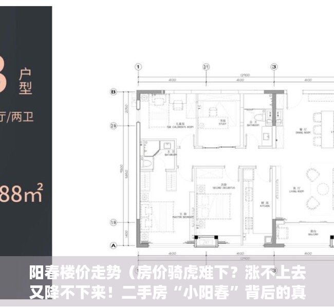 阳春楼价走势（房价骑虎难下？涨不上去又降不下来！二手房“小阳春”背后的真相）