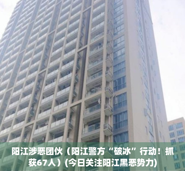 阳江涉恶团伙（阳江警方“破冰”行动！抓获67人）(今日关注阳江黑恶势力)