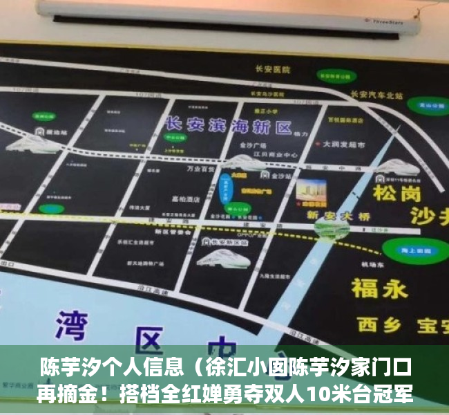 陈芋汐个人信息（徐汇小囡陈芋汐家门口再摘金！搭档全红婵勇夺双人10米台冠军）