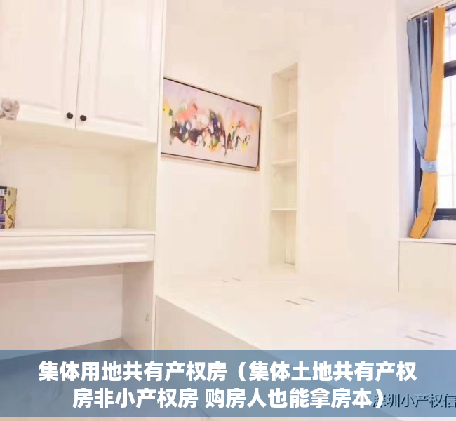 集体用地共有产权房（集体土地共有产权房非小产权房 购房人也能拿房本）