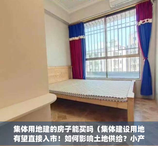 集体用地建的房子能买吗（集体建设用地有望直接入市！如何影响土地供给？小产权房会转正吗？）