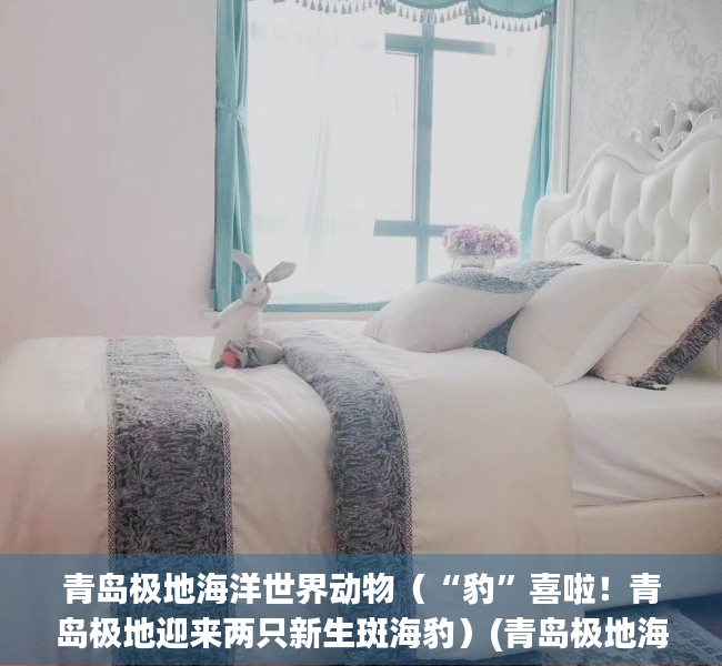 青岛极地海洋世界动物（“豹”喜啦！青岛极地迎来两只新生斑海豹）(青岛极地海洋世界海豹表演)